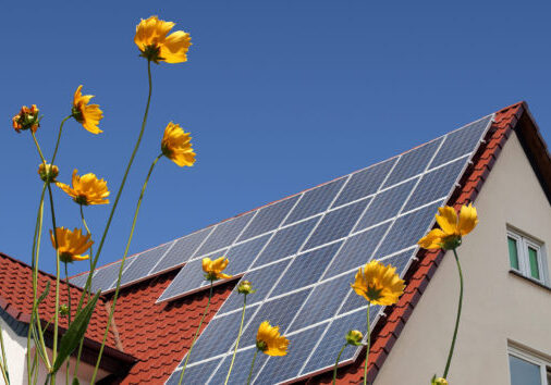 Solar cells on a roof with flowers in the foreground