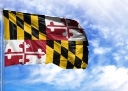 Photo Credit: Millenius / Bigstockphoto.com